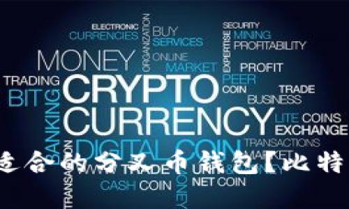  如何选择最适合的分叉币钱包？比特社区为你解答