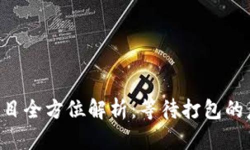 Tokenim项目全方位解析：等待打包的意义与影响