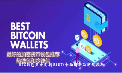 BTC钱包是否支持USDT?全面解析及使用指南