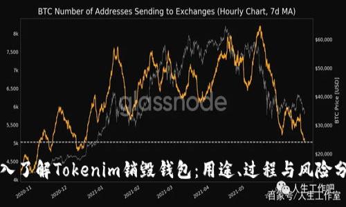深入了解Tokenim销毁钱包：用途、过程与风险分析