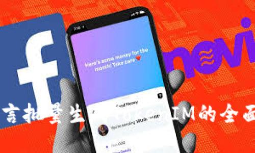 易语言批量生成TokenIM的全面指南