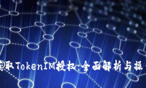 如何获取TokenIM授权：全面解析与操作指南