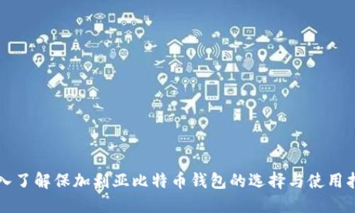 深入了解保加利亚比特币钱包的选择与使用指南