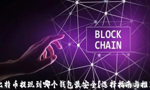 
比特币提现到哪个钱包最安全？选择指南与推荐