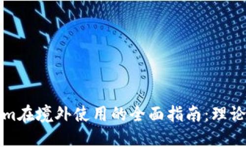 Tokenim在境外使用的全面指南：理论与实践