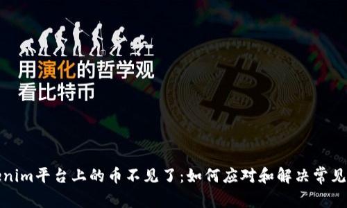 Tokenim平台上的币不见了：如何应对和解决常见问题