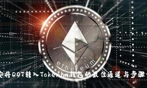 币安将DOT转入Tokenim钱包的最佳通道与步骤详解