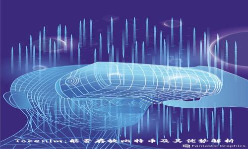 Tokenim：能否存放比特币及其优势解析