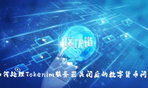 如何处理Tokenim服务器关闭后的数字货币问题