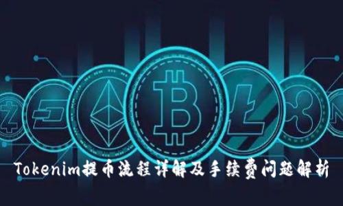 Tokenim提币流程详解及手续费问题解析