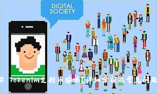 ### Tokenim支持币安吗？详细分析及常见问题解答