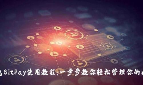 tag

比特币钱包BitPay使用教程：一步步教你轻松管理你的比特币资产