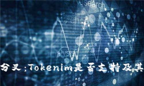 解读BCH分叉：Tokenim是否支持及其影响分析