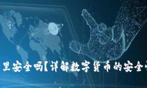  USDT在钱包里安全吗？详解数字货币的安全性与保护措施