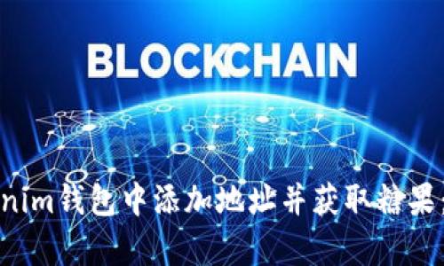 如何在Tokenim钱包中添加地址并获取糖果：真相与攻略