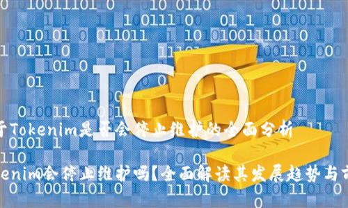 关于Tokenim是否会停止维护的全面分析

Tokenim会停止维护吗？全面解读其发展趋势与前景