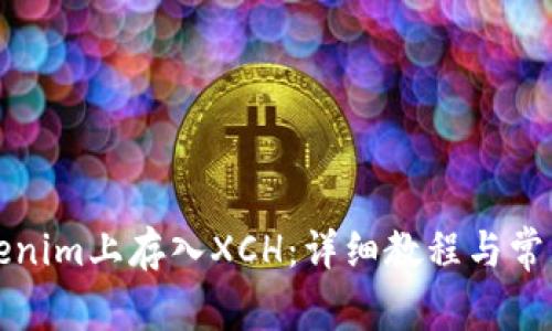 如何在Tokenim上存入XCH：详细教程与常见问题解答