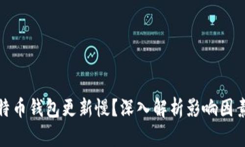 : 为什么比特币钱包更新慢？深入解析影响因素与解决方案