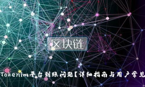 如何解决Tokenim平台到账问题？详细指南与用户常见疑问解答
