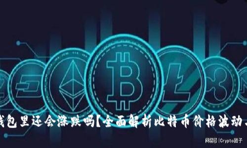 比特币在钱包里还会涨跌吗？全面解析比特币价格波动与投资策略