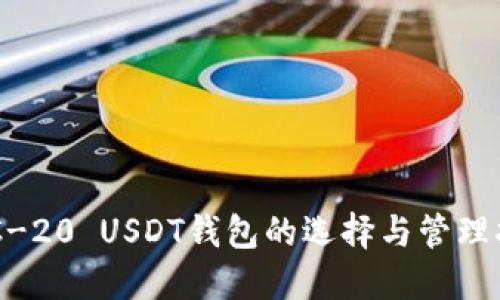 ERC-20 USDT钱包的选择与管理指南