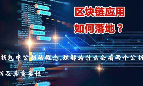 提示：在这篇文章中，我们将深入探讨比特币钱包中公钥的概念，理解为什么会有两个公钥以及它们的作用，同时回答与之相关的问题。

比特币钱包中的公钥解析：为什么有两个公钥及其重要性