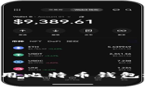 如何选择和使用比特币钱包地址：全面指南