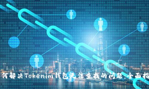 如何解决Tokenim钱包无法查找的问题：全面指南