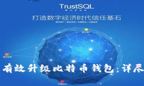 如何有效升级比特币钱包：详尽指南