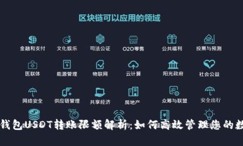 比特派钱包USDT转账限额解析：如何高效管理您的数字资产