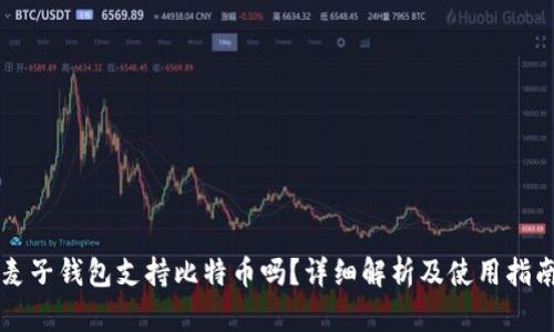 麦子钱包支持比特币吗？详细解析及使用指南