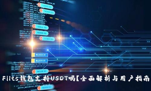 Filts钱包支持USDT吗？全面解析与用户指南